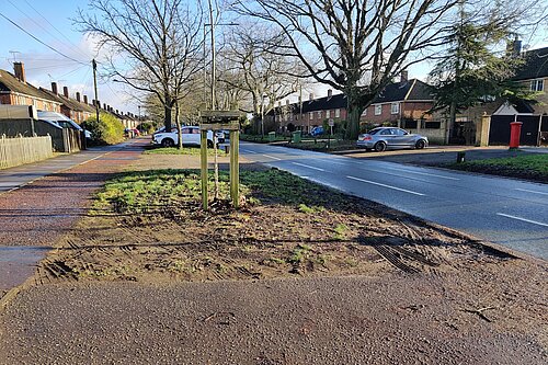 A photo taken on the Avenues of chewed verges.